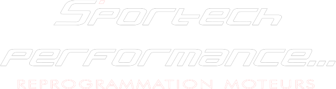 Logo sportech performance